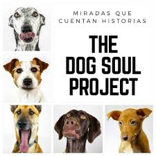 The Dog Soul Project Bitxos Veterinaris Alella
