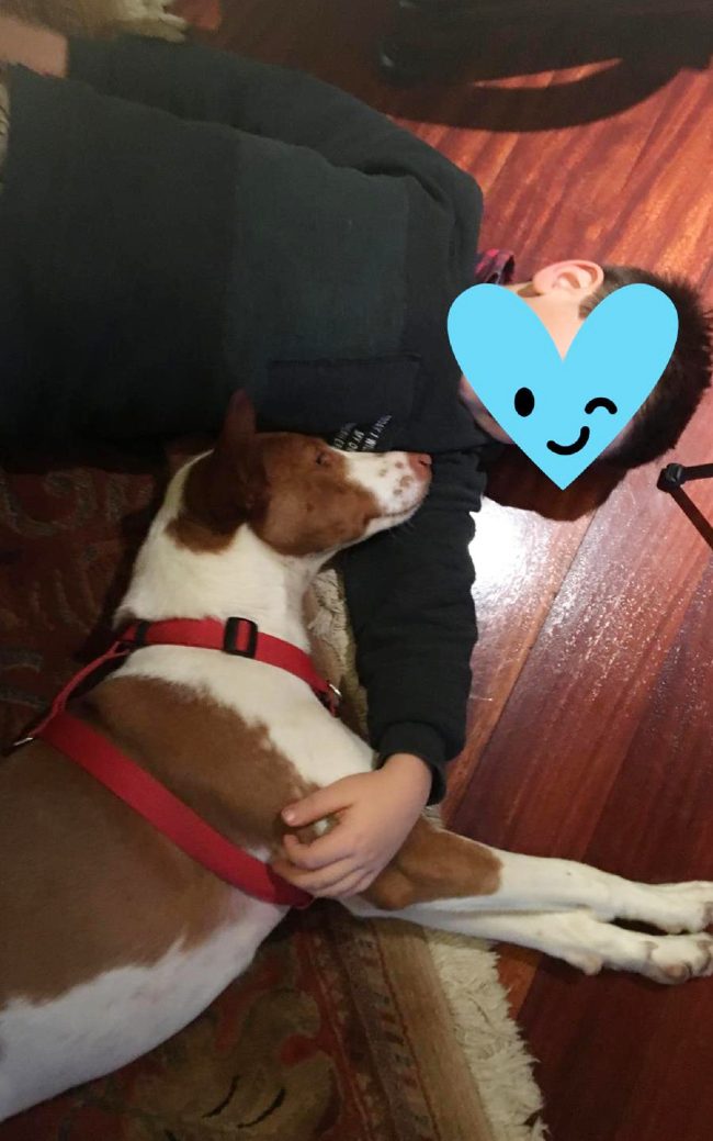 Podenc adopcio ADANA Alella 